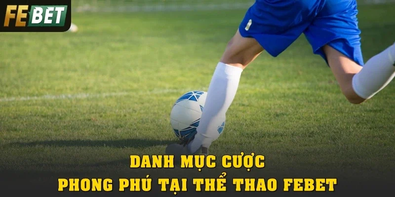 Danh mục cược phong phú tại thể thao Febet