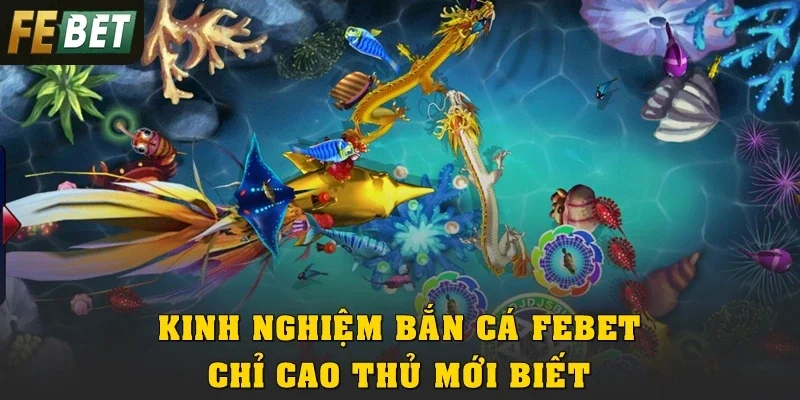 Kinh nghiệm bắn cá Febet chỉ cao thủ mới biết