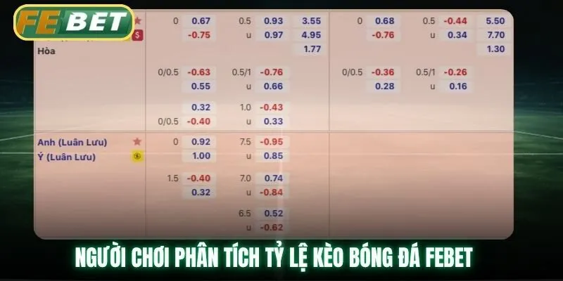 Người chơi phân tích tỷ lệ kèo bóng đá Febet