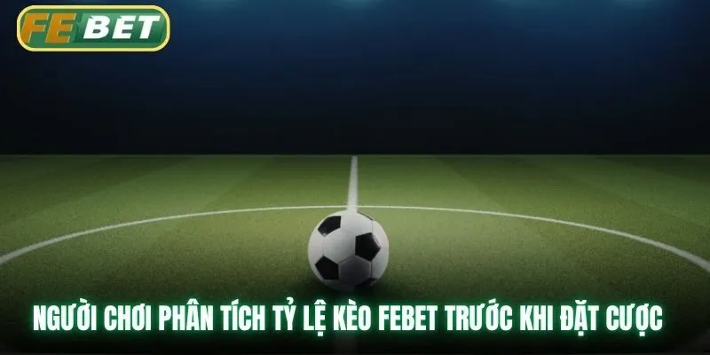 Người chơi phân tích tỷ lệ kèo Febet trước khi đặt cược